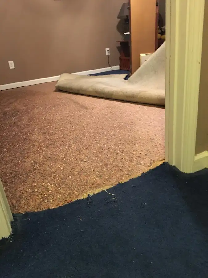 Carpet pad removal revealing water damage during Water Mitigation Services in Fairmont