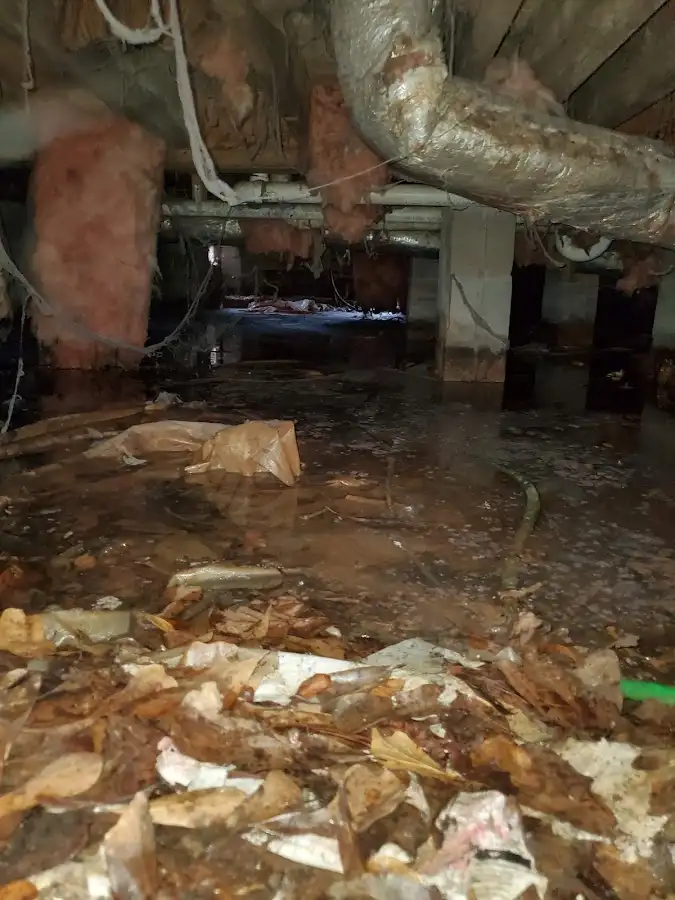 Crawl space flood assessment for Leak Detection & Repair in Fairmont
