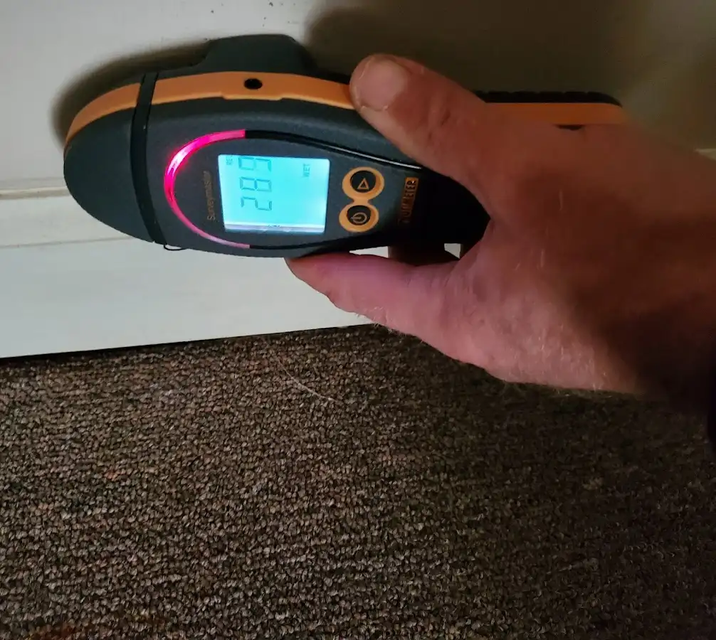 Moisture detection at baseboard during Sewage Cleanup & Sanitation in Fairmont